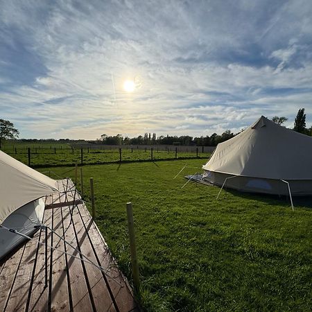 Camp Mangoeste Зедельгем Экстерьер фото